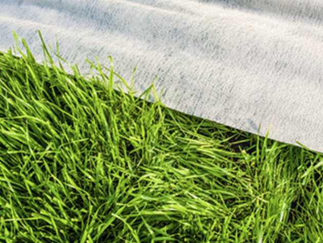 White nonwoven fabric laid over green grass for agricultural use